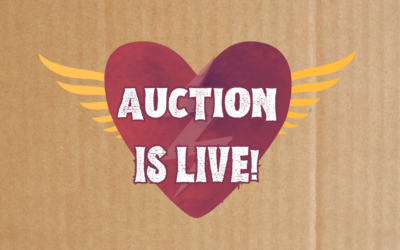Backline’s Auction is Live!