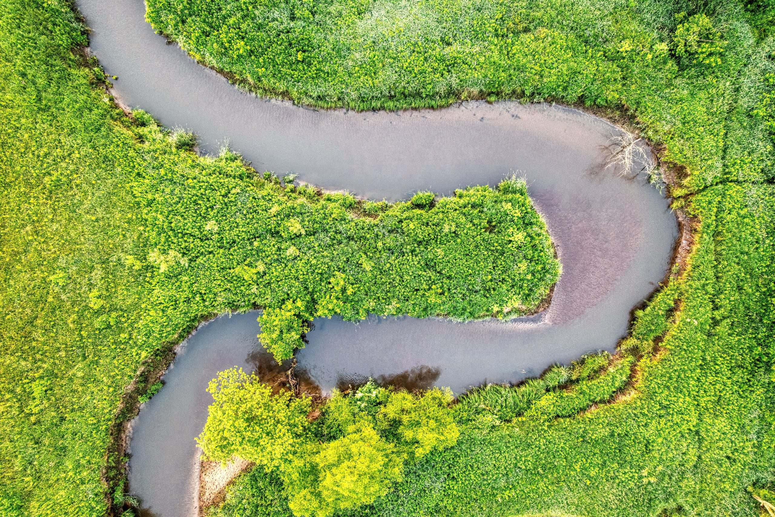 Birdseye view of a river